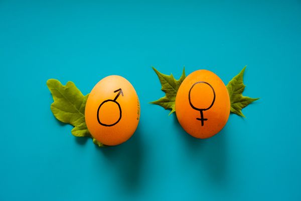 Gender Balance Strategies for 21st Century Organizations