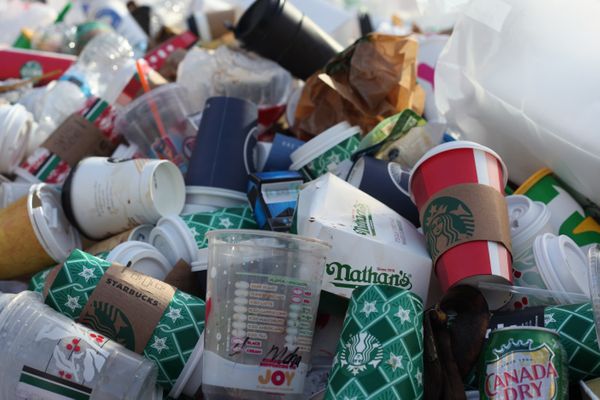 How To Be Sustainable About Waste