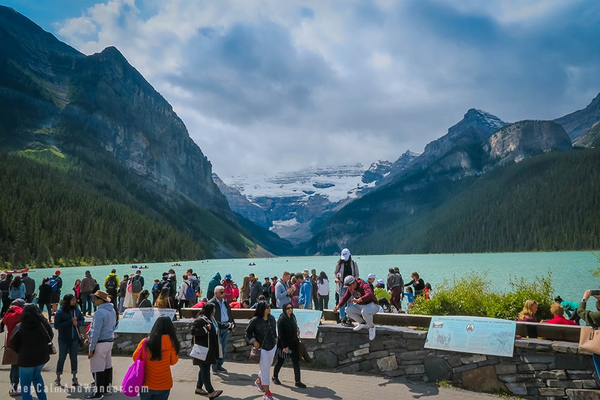 Tourism and Animal Decline: The Future of Canada's National Parks